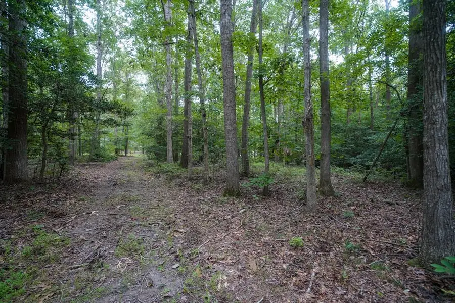 Lot 3A Branch Road, Temperanceville, VA 23442 - Image #2