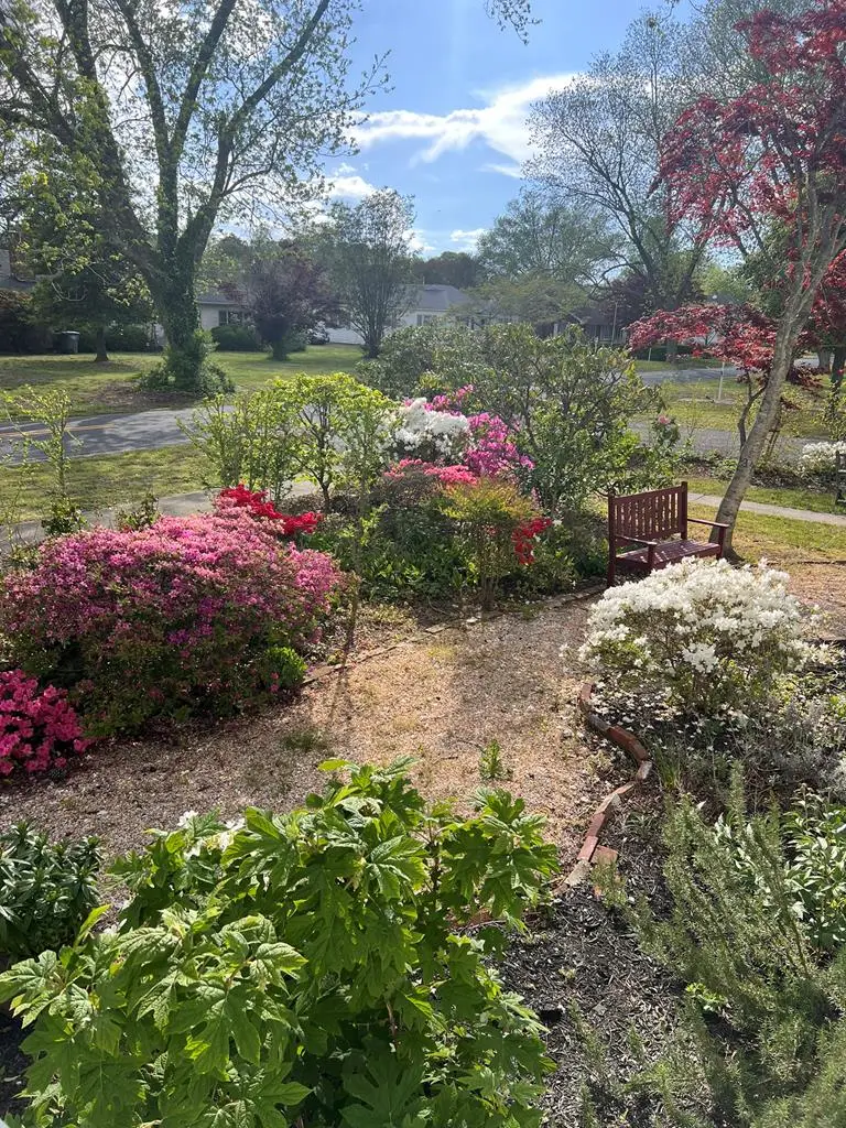 18298 Cassatt Ave, Parksley, VA 23421 - Image #2