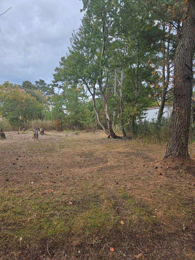 LOT 283 North Hibiscus Dr, Chincoteague, VA 23336 - Image #3