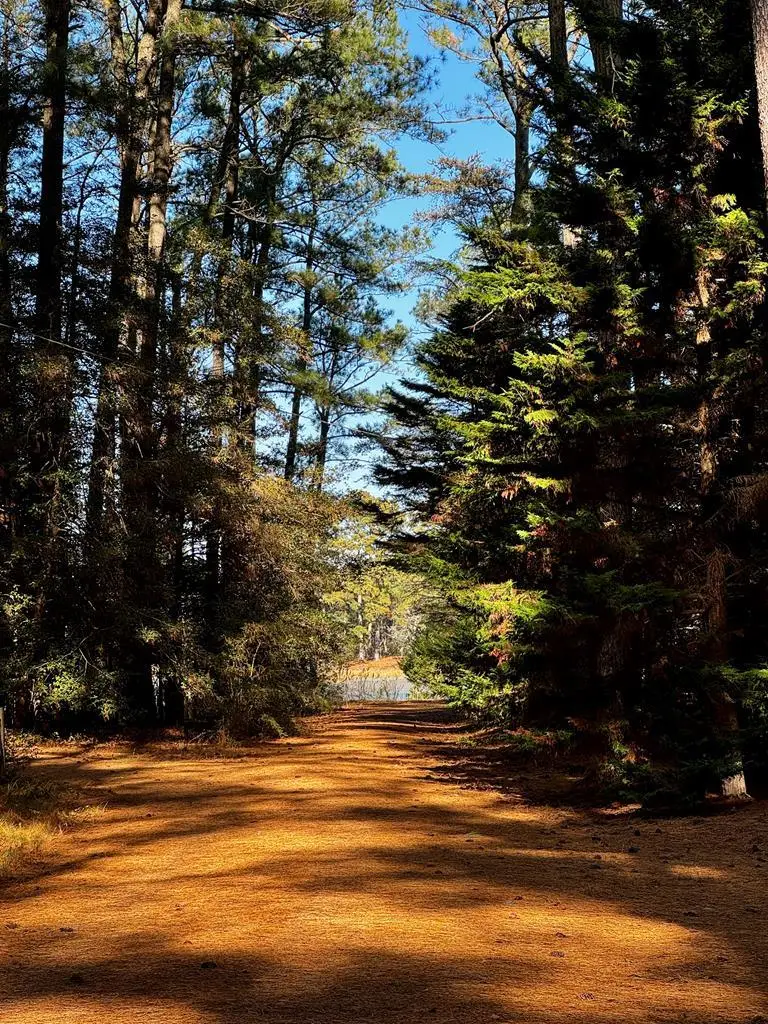 Lot 19 Folly Creek Club Ln, Accomac, VA 23301 - Image #2