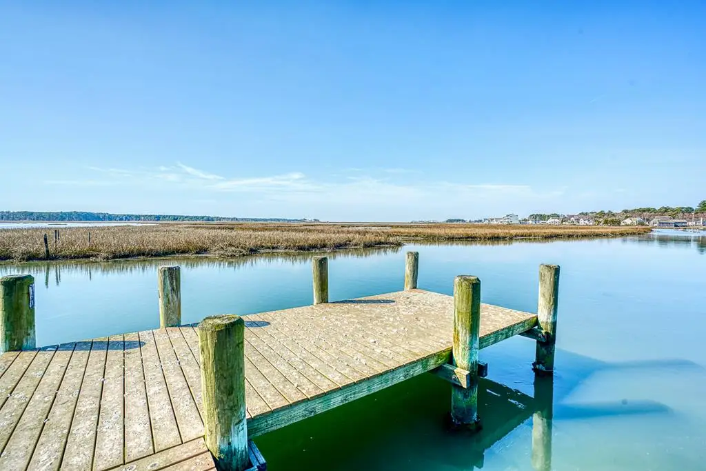 Lot 48 Piney Island Rd, Chincoteague, VA 23336 - #1
