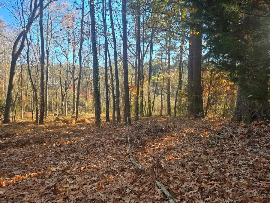 8396 Wellington Neck Rd, Franktown, VA 23355 - Image #2