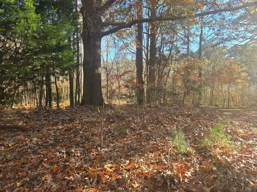 8396 Wellington Neck Rd, Franktown, VA 23355 - Image #3