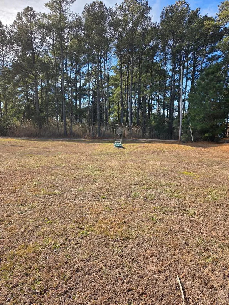 LOT 205 Hibiscus Dr, Chincoteague, VA 23336 - #3