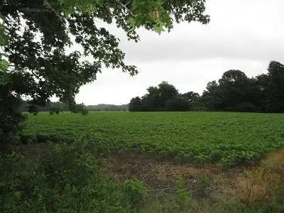 2 Fletcher Rd, Nelsonia, VA 23414 - Image #1