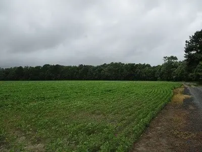 2 Fletcher Rd, Nelsonia, VA 23414 - Image #3