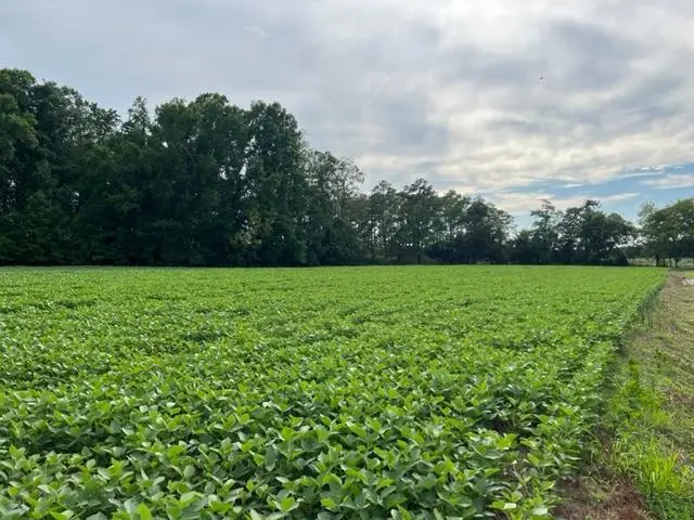 LOT 22C Bullbeggar Rd, Withams, VA 23488 - #1