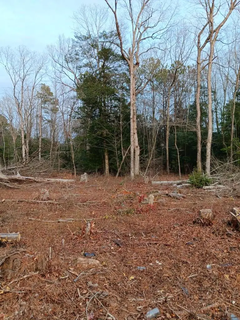 Lot Sherwood St, Bloxom, VA 23308 - Image #1