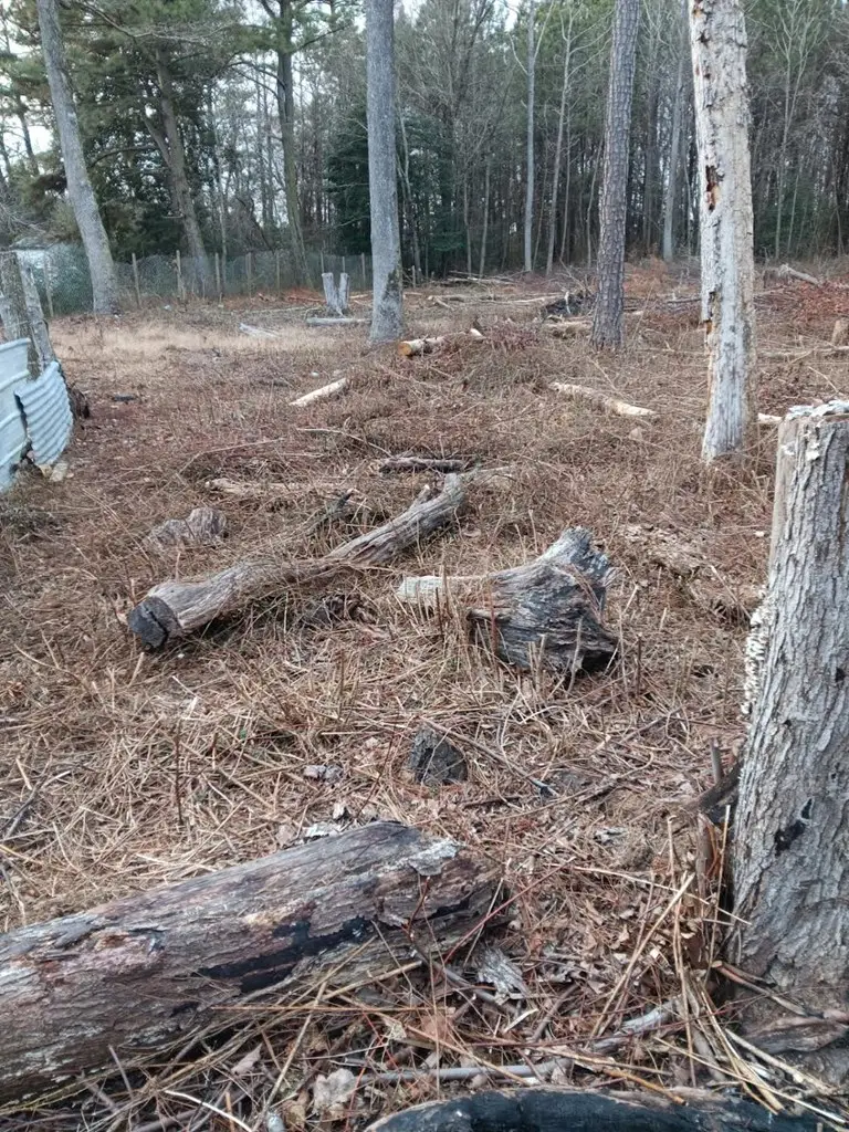 Lot Sherwood St, Bloxom, VA 23308 - Image #3