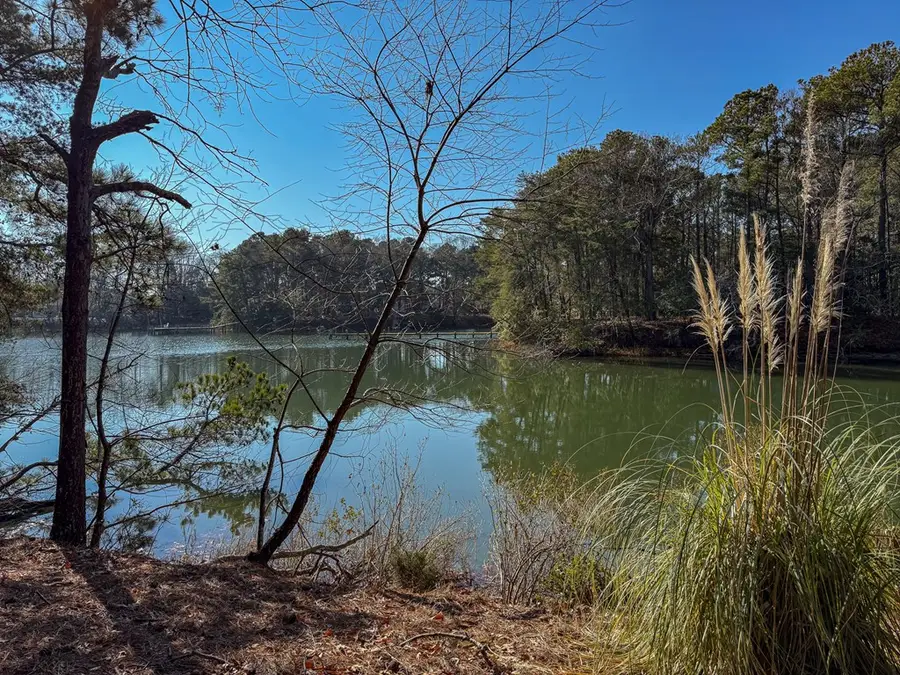 208/209 Blue Fish Ln, Machipongo, VA 23405 - Image #2