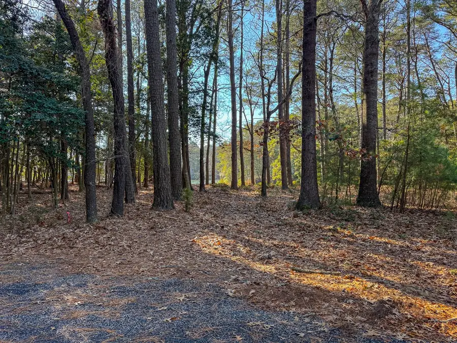 208/209 Blue Fish Ln, Machipongo, VA 23405 - Image #3