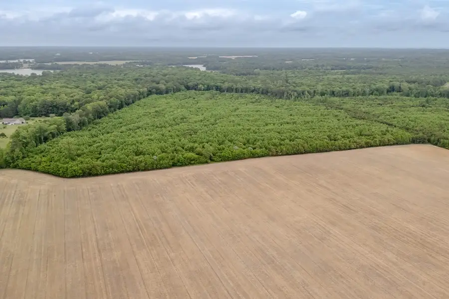 0 Wilsonia Neck Dr, Machipongo, VA 23405 - Image #3