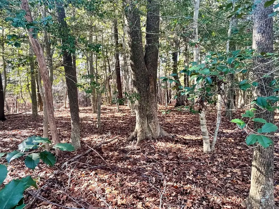 Lot 1593 High Sea Dr, Greenbackville, VA 23356 - Image #2
