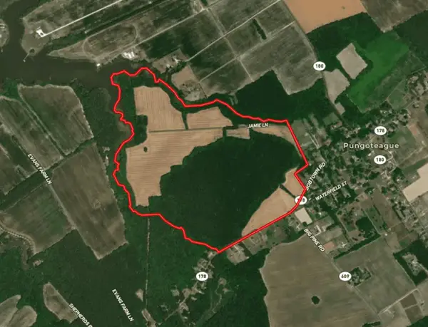 Boston None, PAINTER, VA 23420