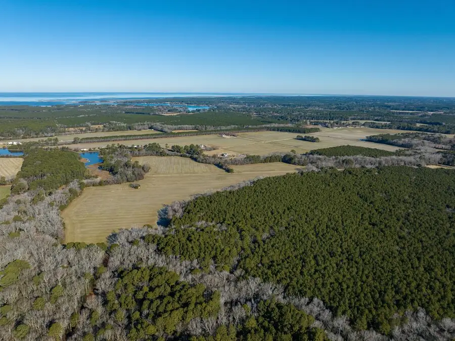 Boston None, Painter, VA 23420 - Image #3