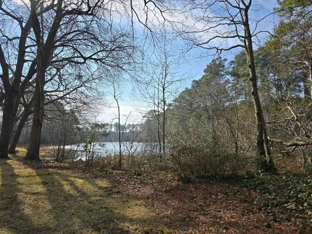 0 Bayside Rd, Greenbush, VA 23357 - #1