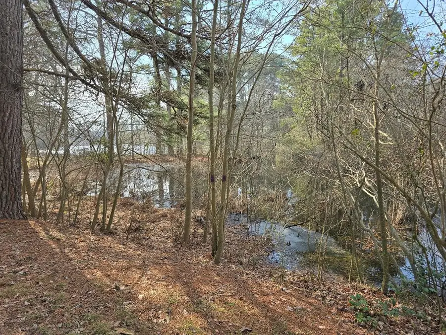 0 Bayside Rd, Greenbush, VA 23357 - #3