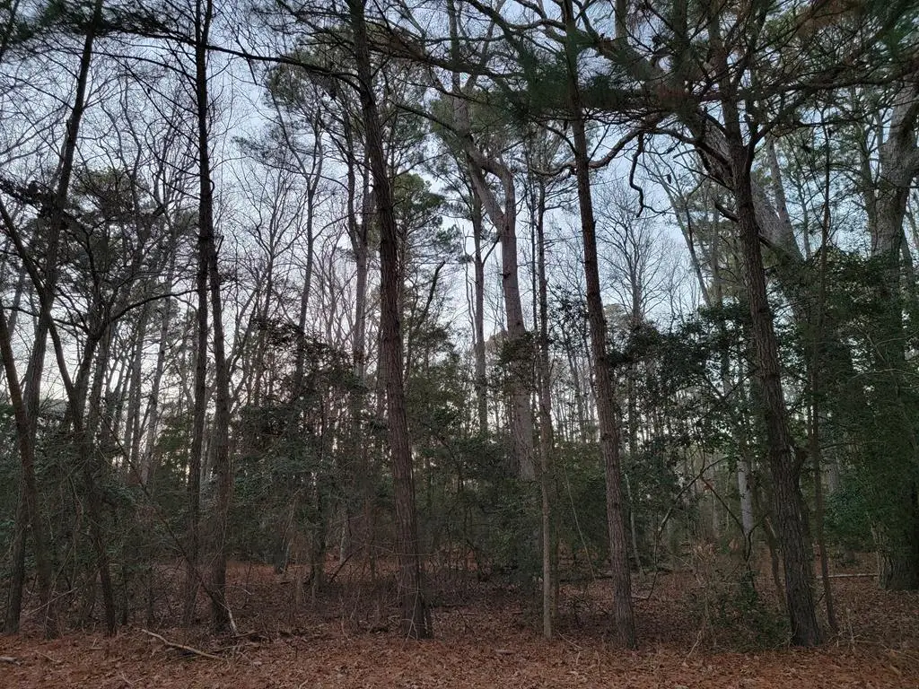 Lot 7A1 Wilsonia Shores Dr, Machipongo, VA 23405 - #1