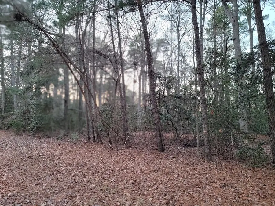 Lot 7A1 Wilsonia Shores Dr, Machipongo, VA 23405 - #3