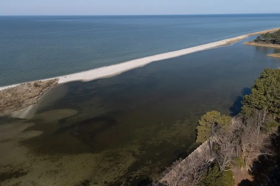 73 Heron Dr, Machipongo, VA 23405 - #2