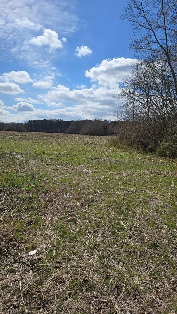 00 Hopeton Rd, Parksley, VA 23421 - #2