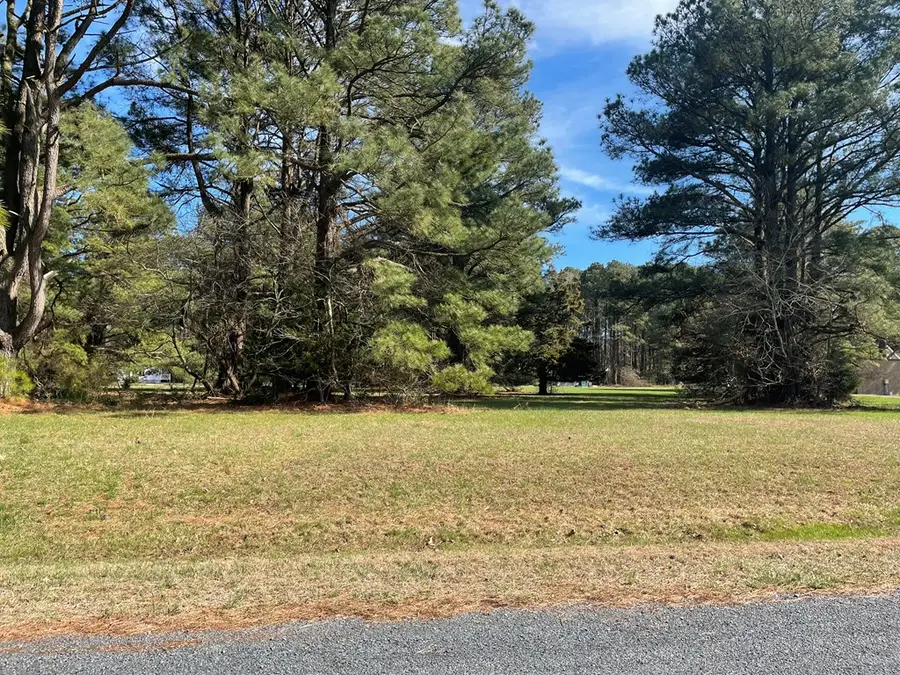 Lot 302 Underway Rd, Greenbackville, VA 23356 - #2