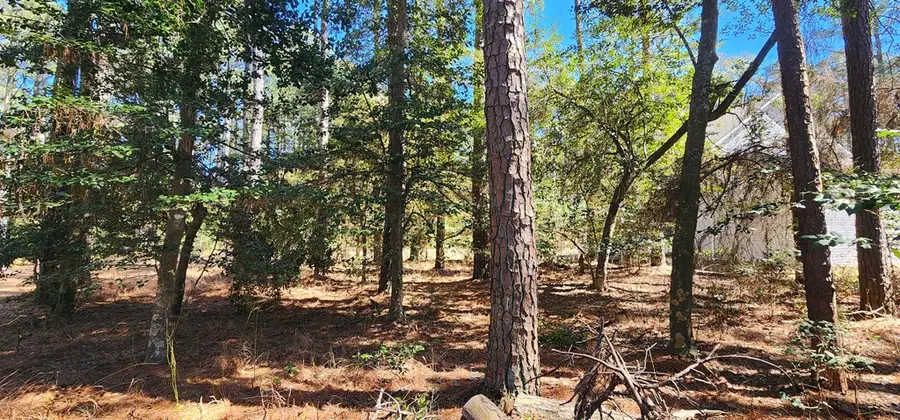 525 Dingy Ct, Greenbackville, VA 23356 - #2