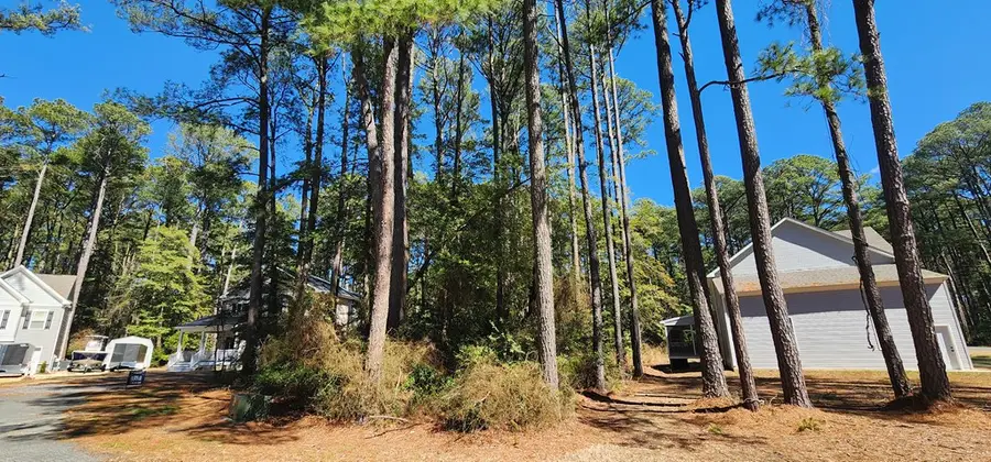 525 Dingy Ct, Greenbackville, VA 23356 - #3