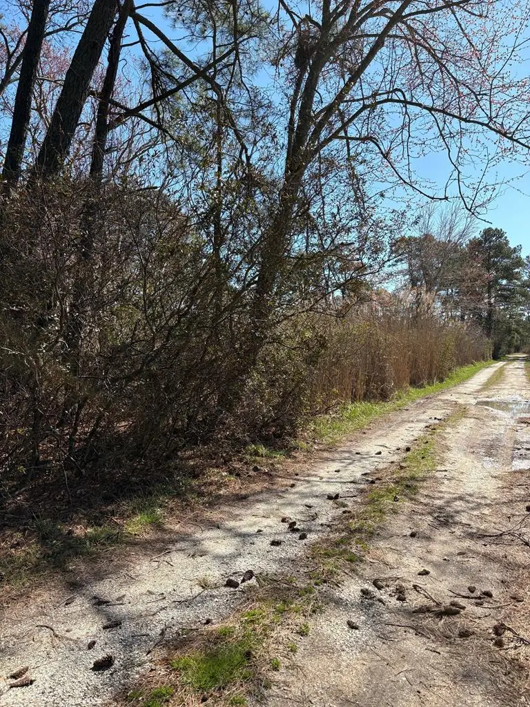 Lot G&H John S Whealton Ln, Chincoteague, VA 23336 - #3