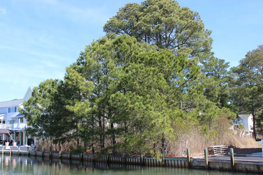 1213 Salty Way, Greenbackville, VA 23356 - #2