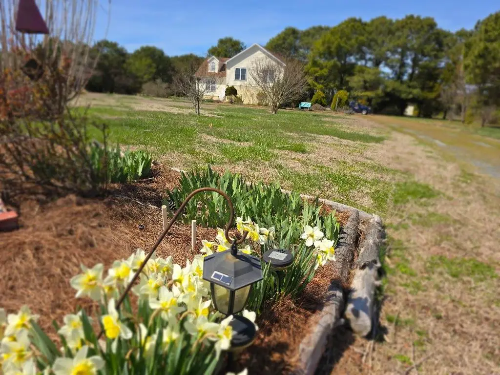 19006 North Dr, Parksley, VA 23421 - #1