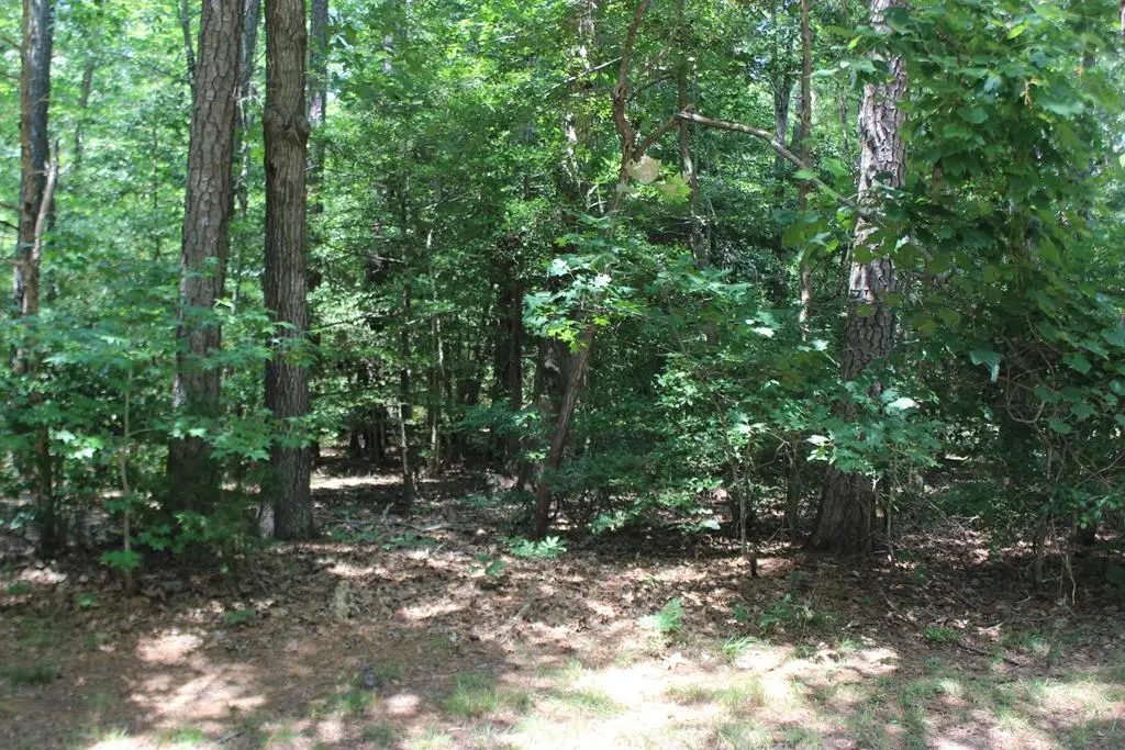 104 Custom Dr, Greenbackville, VA 23356 - #1