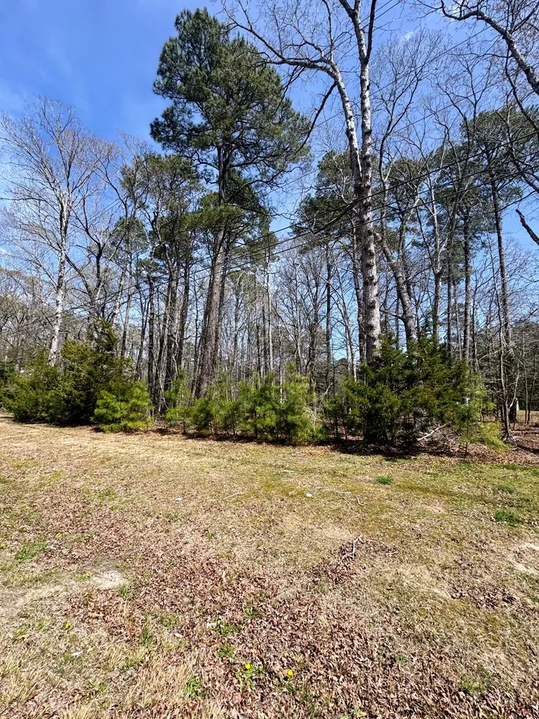 Lot 2553 Captains Corridor, Greenbackville, VA 23356 - #3