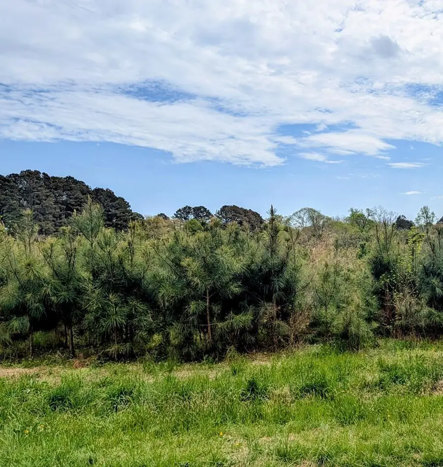 Lot 42 Mallard Ln, Machipongo, VA 23405 - #2