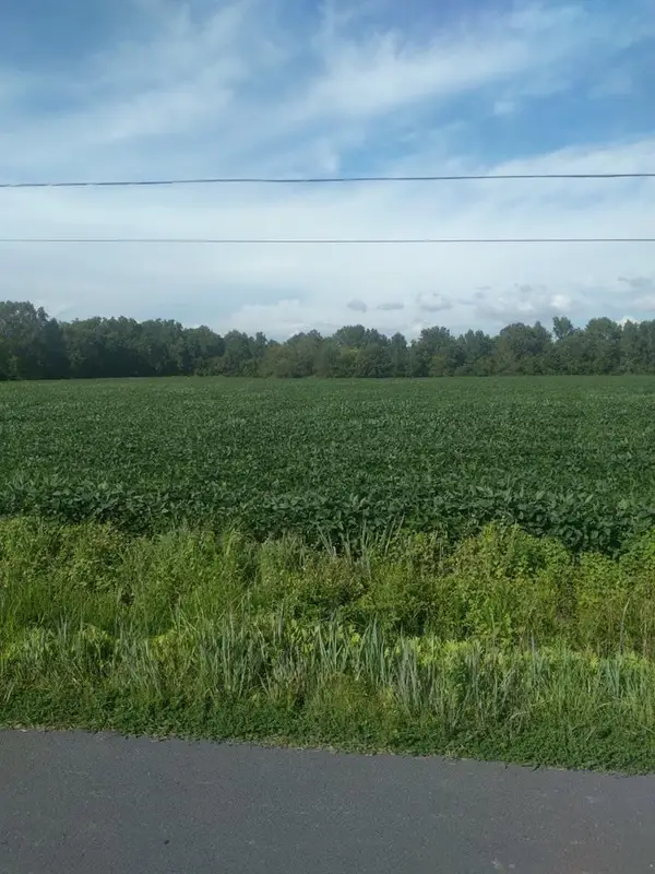 Lot 84 Mitchell Rd, BLOXOM, VA 23308