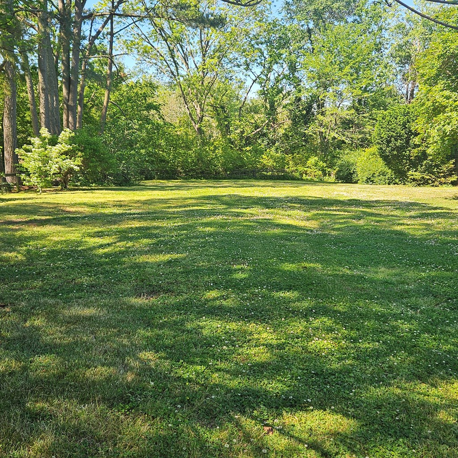 4344 Willis Wharf Rd, Exmore, VA 23350 - #3