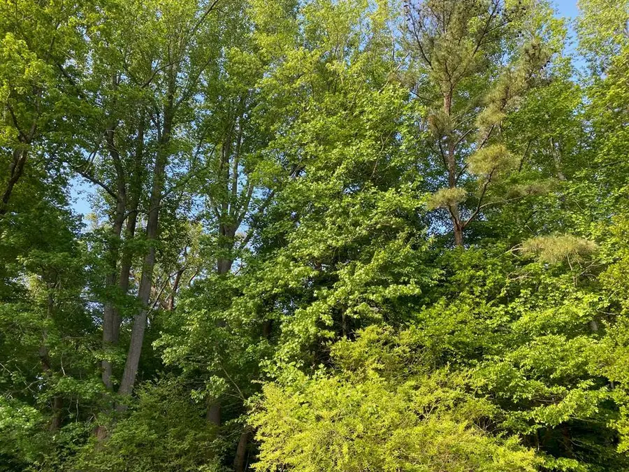 0 Hall St, Bloxom, VA 23308 - #2