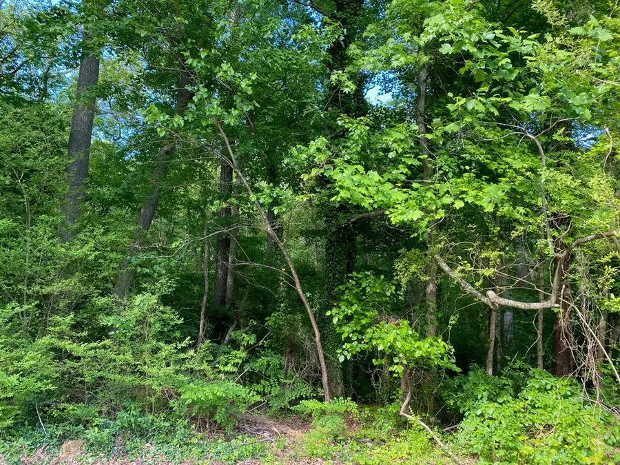 0 Hall St, Bloxom, VA 23308 - #3