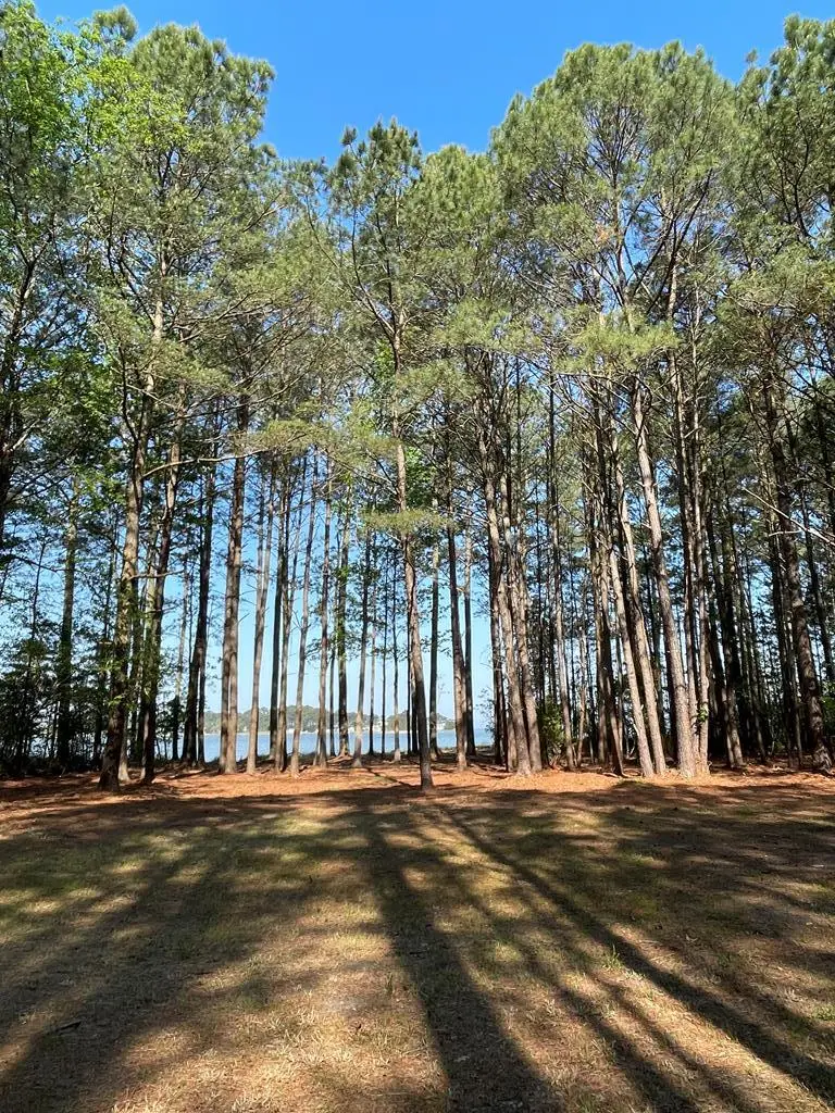 Lot 1 Bailey Beach Dr, Onancock, VA 23417 - #3