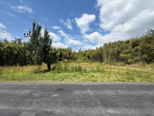33211 Nocks Landing Rd, ATLANTIC, VA 23303