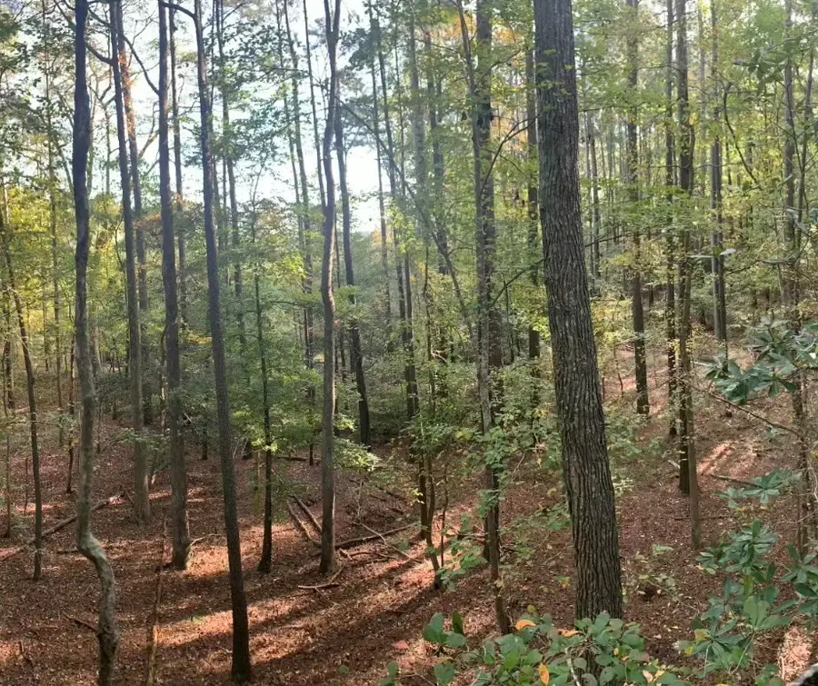 11.770 Daugherty Rd, Onancock, VA 23417 - #2