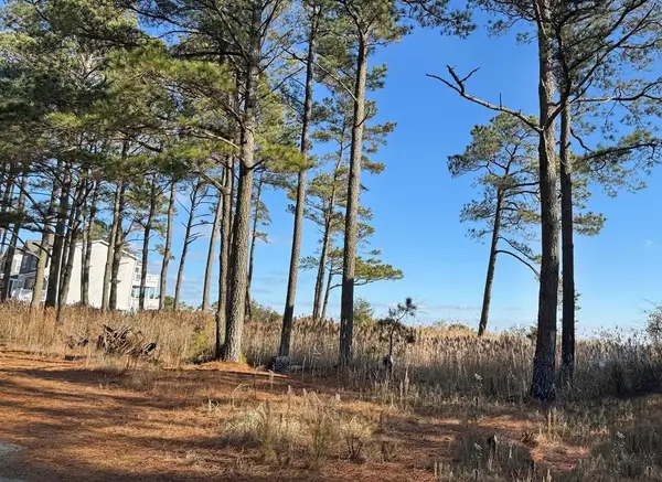 Lot 718 Castaway Dr, GREENBACKVILLE, VA 23356