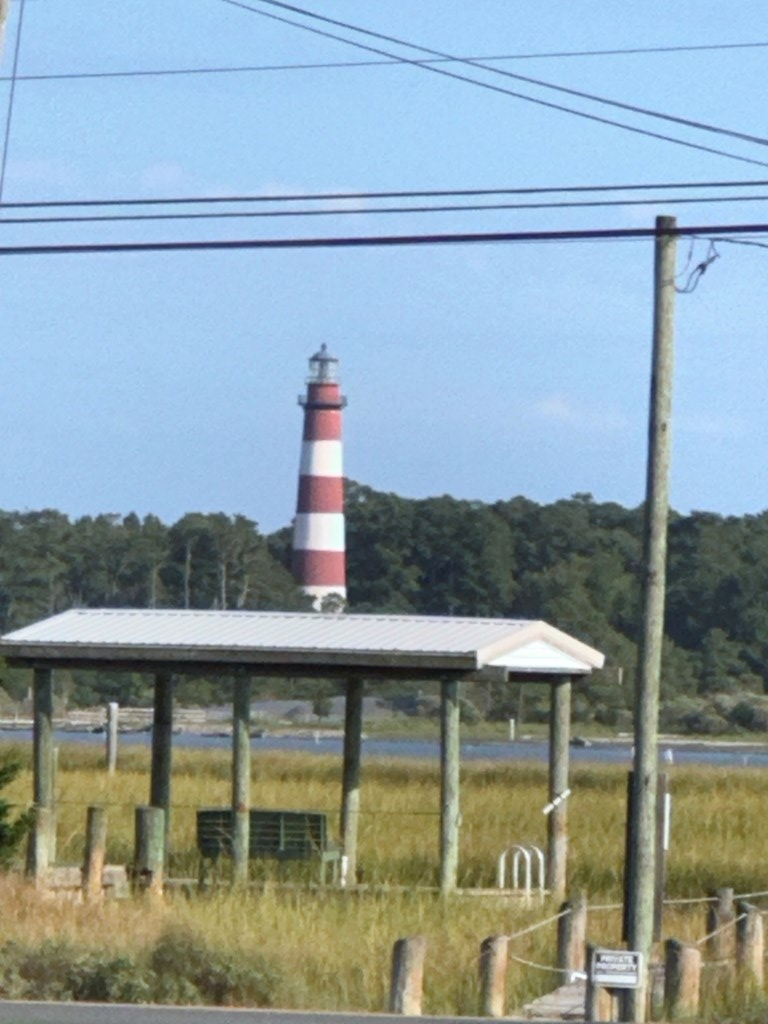 7266 Mcgee Lane, Chincoteague, VA 23336 - #2