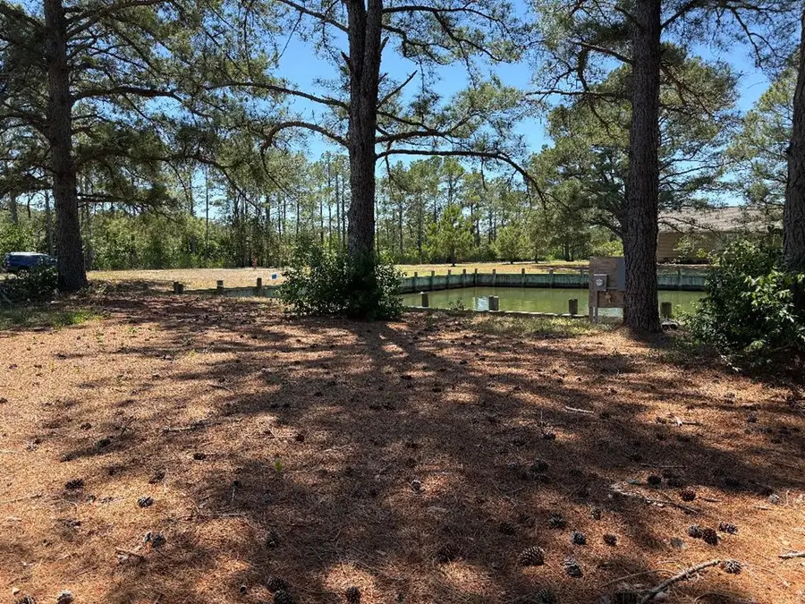 1 Black Mallard Way, Onancock, VA 23417 - #2