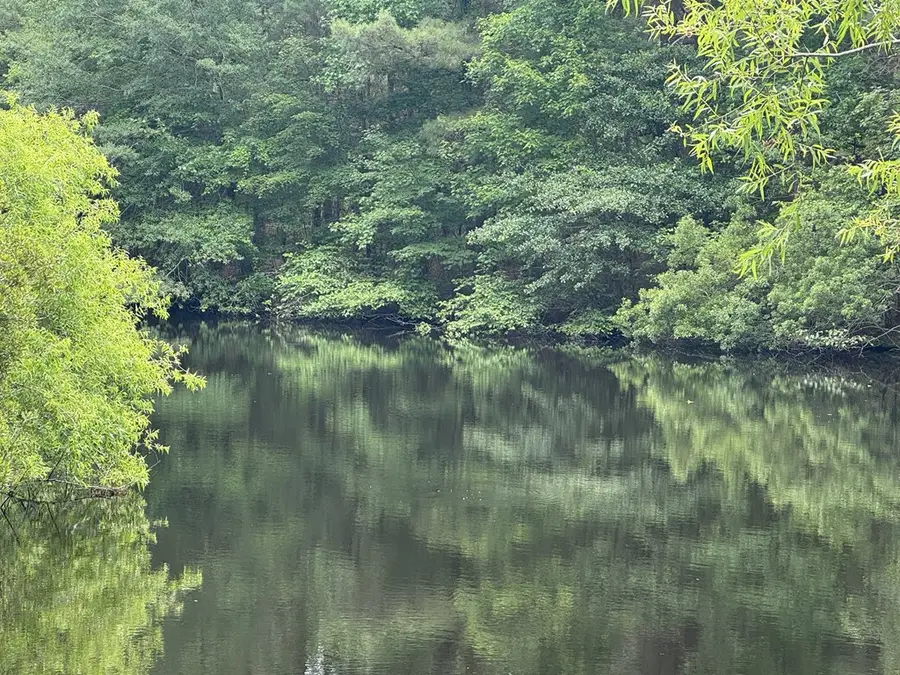 Lot 24 Peaceful Lakes Dr, Exmore, VA 23350 - #3