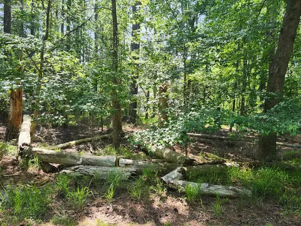 Lot 1061 Broadside Dr, GREENBACKVILLE, VA 23356