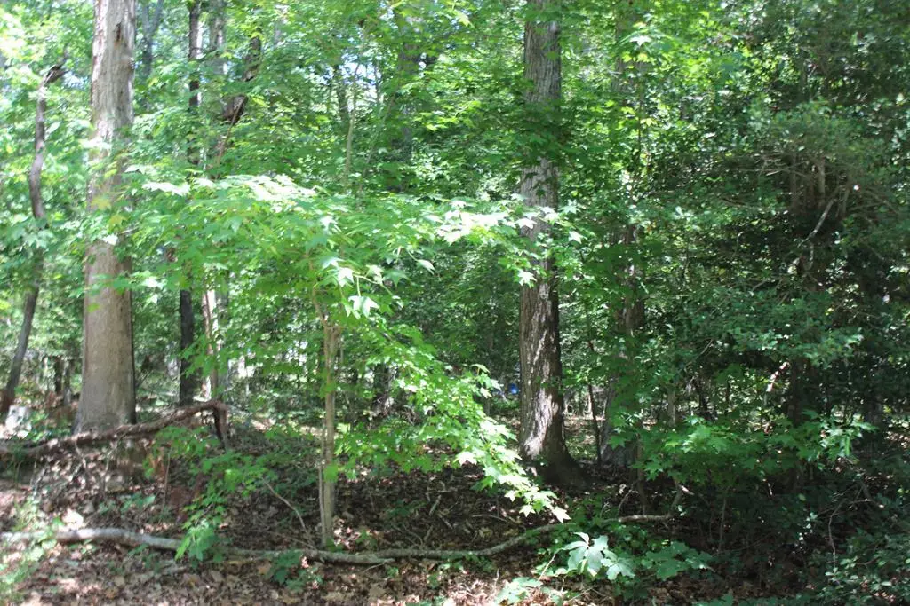112 Custom Dr, Greenbackville, VA 23356 - #1