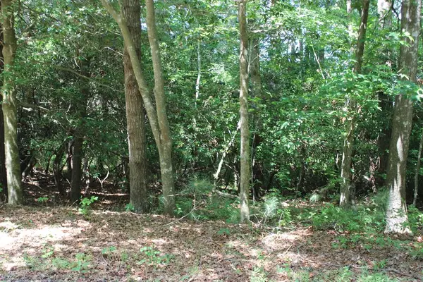 1950 Buccaneer Blvd, GREENBACKVILLE, VA 23356