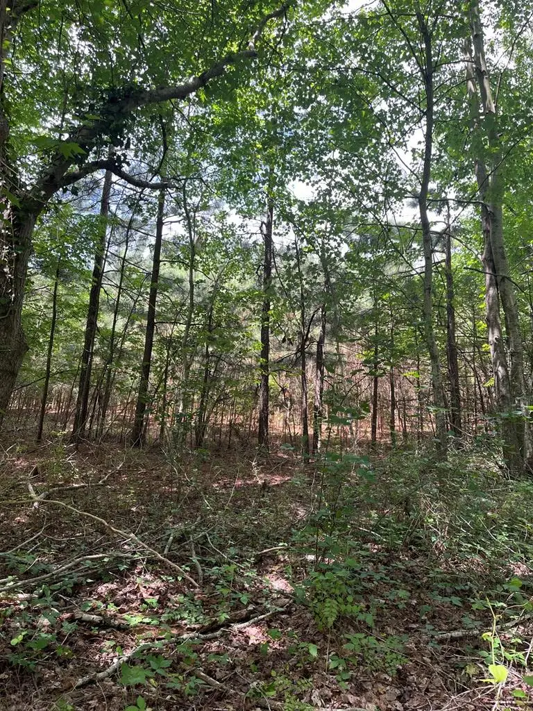 0000 Hare Valley Drive, Nassawadox, VA 23413 - #2