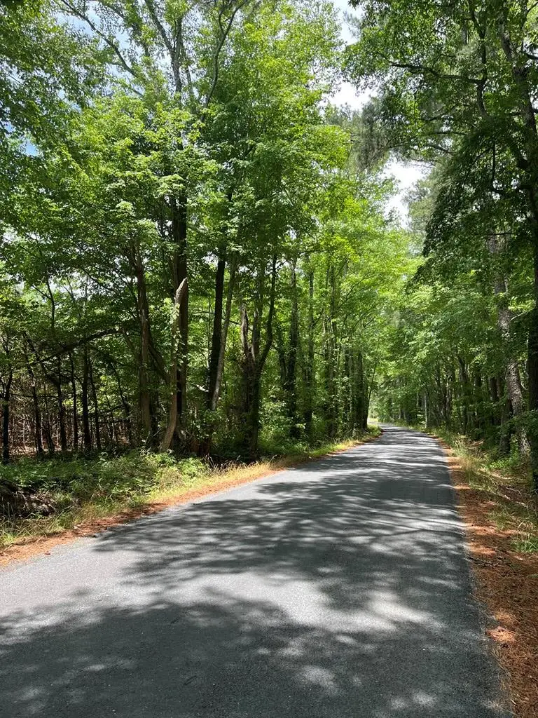 0000 Hare Valley Drive, Nassawadox, VA 23413 - #3